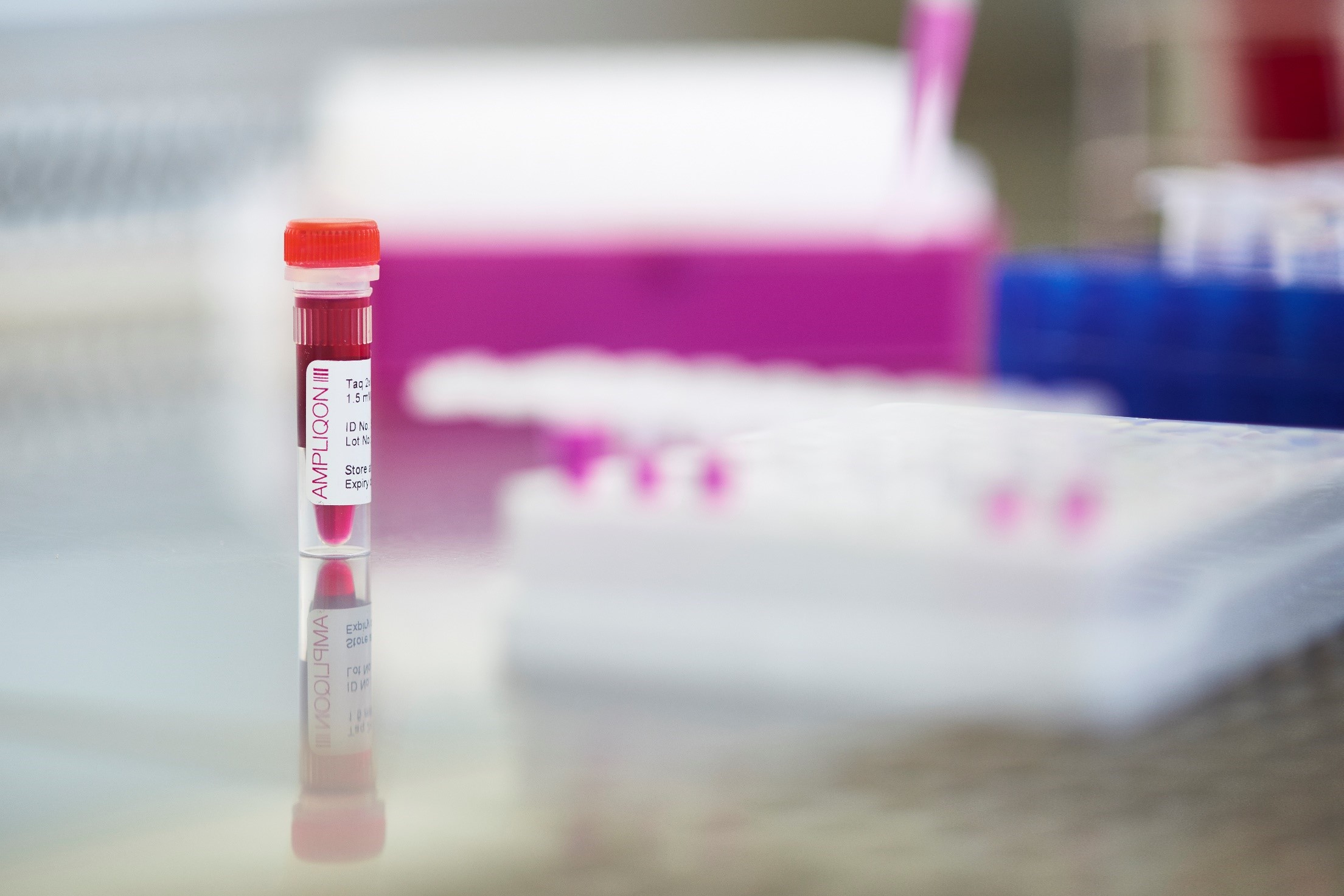 Ampliqon Taq DNA Polymerase Master Mix RED