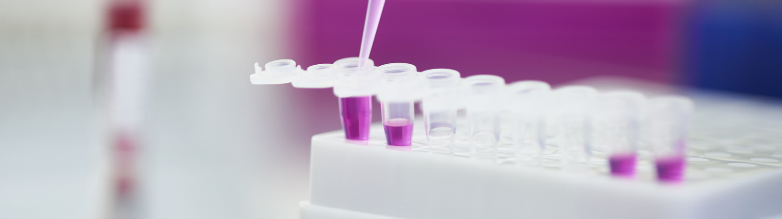 Ampliqon_Taq DNA Polymerase Master Mix RED