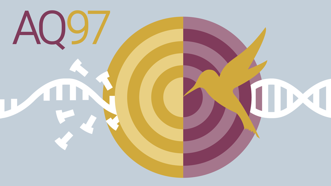 AQ97 High Fidelity DNA Polymerase