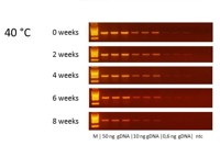 Figur 2 Stability Test
